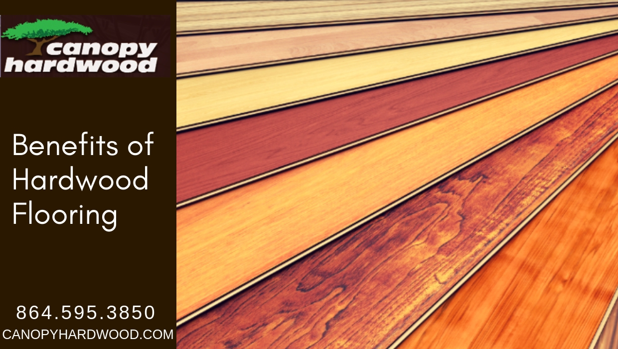 What are the Benefits of Hardwood Floors?